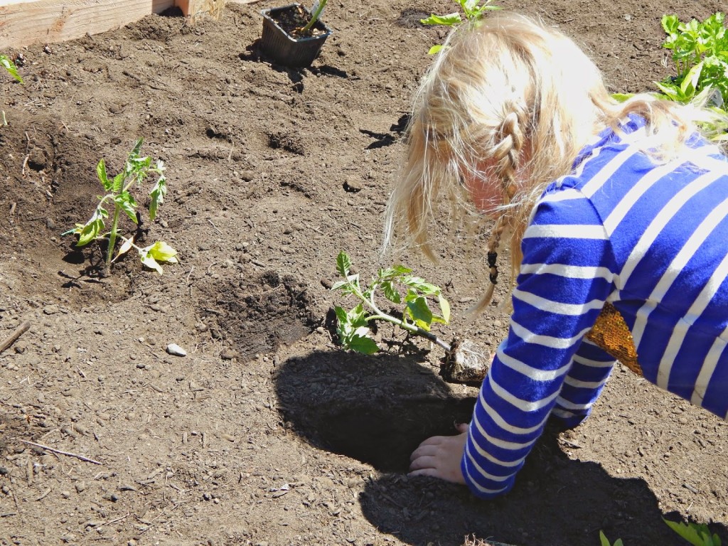 How to Build a Raised Garden #FreshNaturally #Shop #Cbias