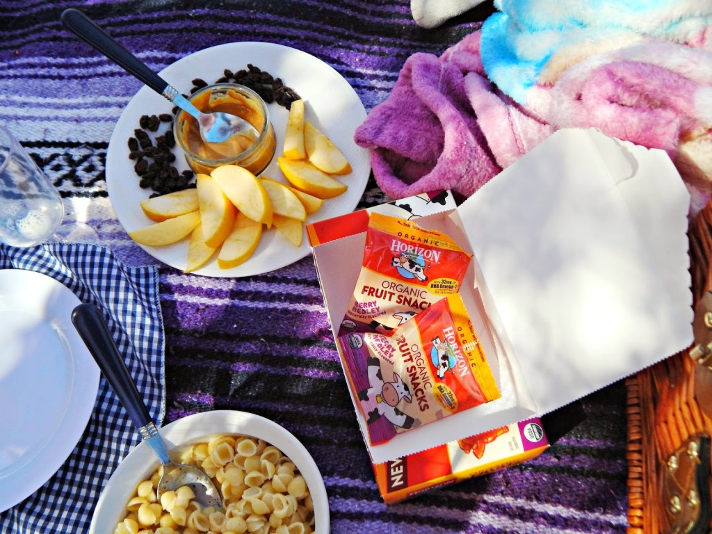 Easy Picnic Food Idea from @horizonorganic #MealTimeSolutions #ad 