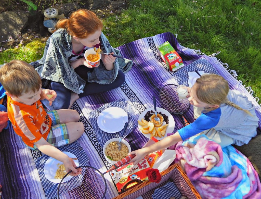 Easy Picnic Food Idea from @horizonorganic #MealTimeSolutions #ad 