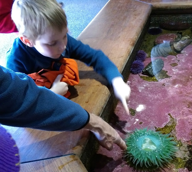 Melissa Kaylene's review of the Oregon Coast Aquarium