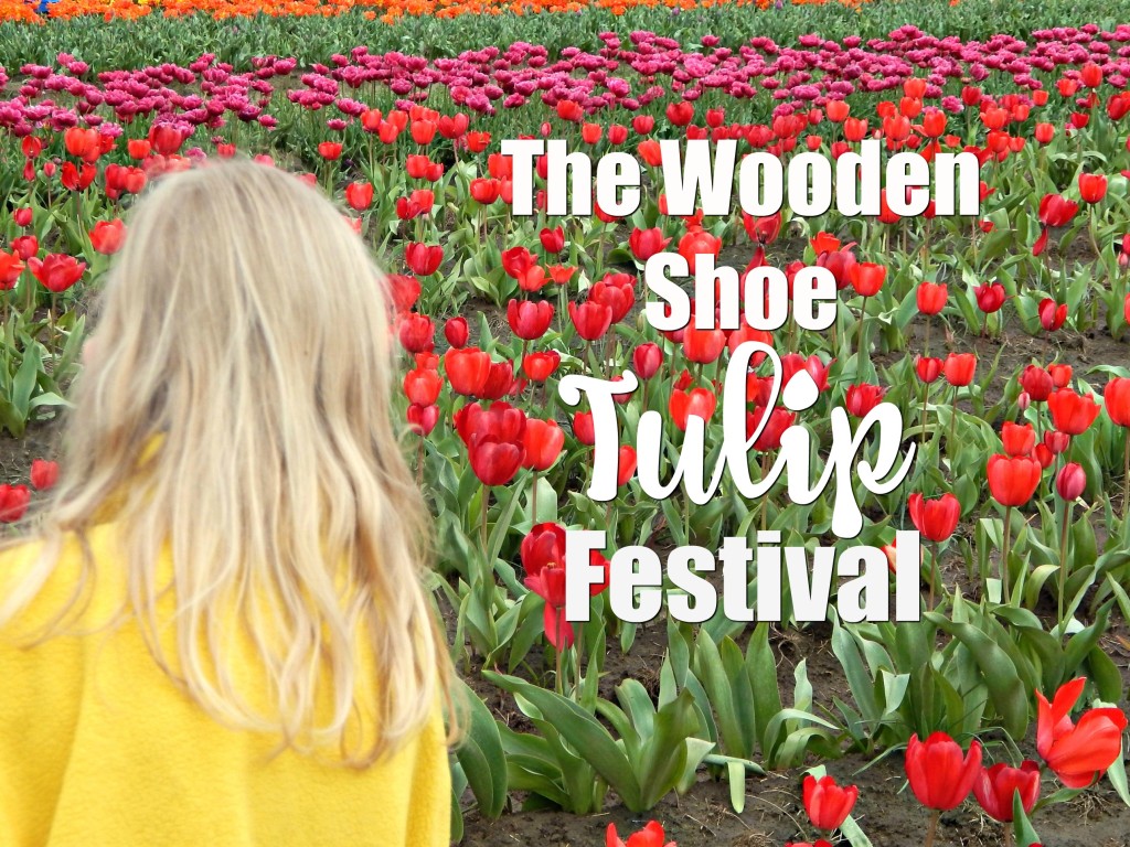 woodburn-tulip-festival-27-hero