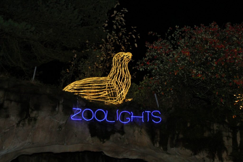 zoolights