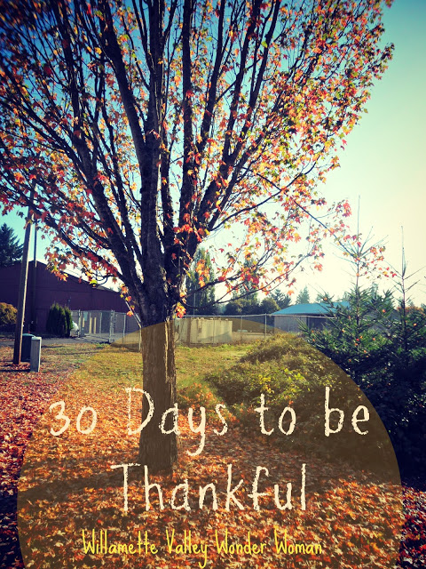 30 Things to be thankful for 