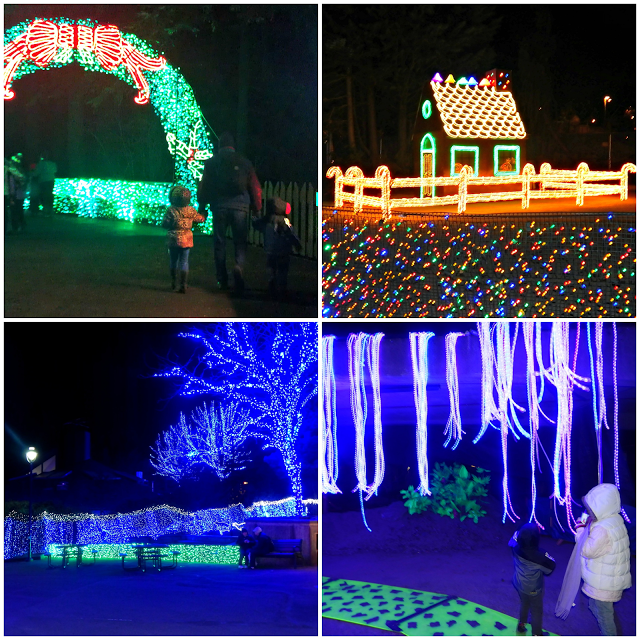 #zoolights