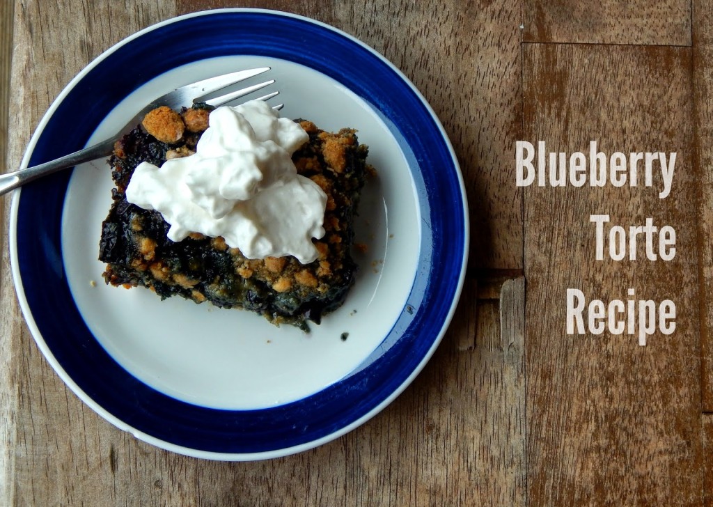 Blueberry Torte Recipe #QuakerUp #LoveMyCereal #spon #collectivebias