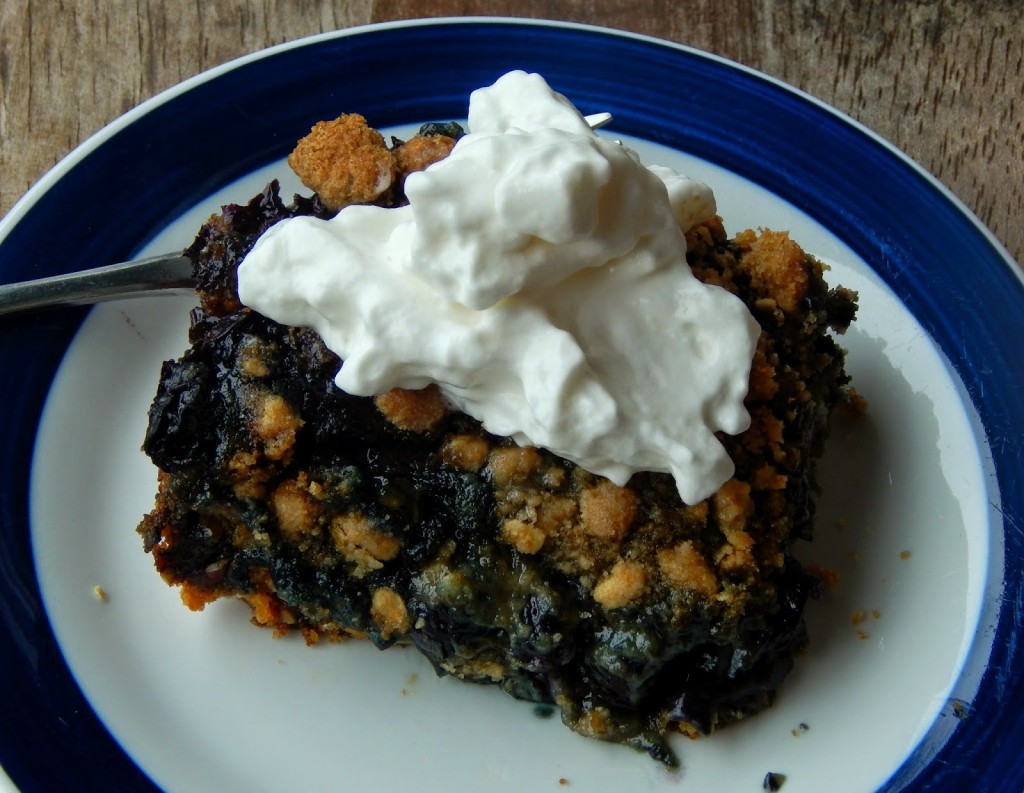 Blueberry Torte Recipe #QuakerUp #LoveMyCereal #spon #collectivebias