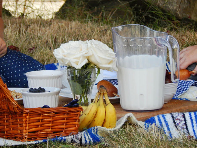 Photos from a Breakfast Picnic #WrapNGo #ad 