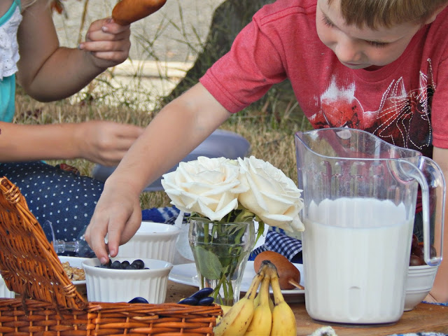 Photos from a Breakfast Picnic #WrapNGo #ad 