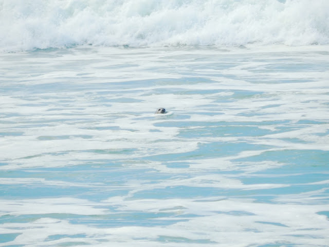 On The Beach in November // @MelissaKaylene