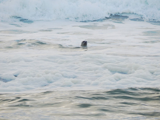 On The Beach in November // @MelissaKaylene