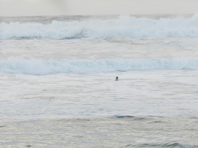 On The Beach in November // @MelissaKaylene