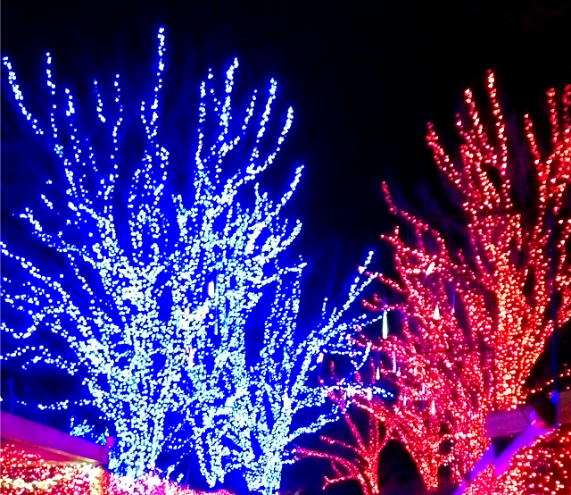 zoolights at the oregon zoo