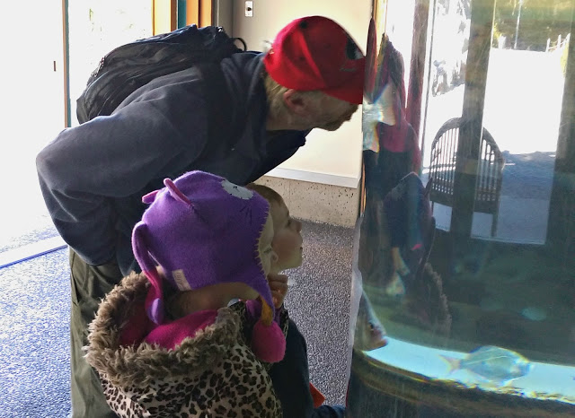 Melissa Kaylene's review of the Oregon Coast Aquarium