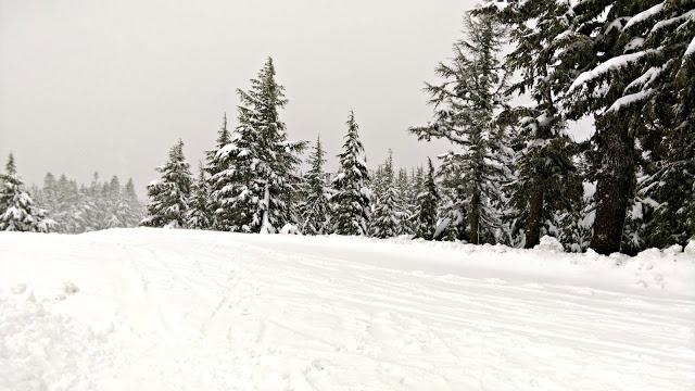 A trip to the Timberline Lodge via @melissakaylene