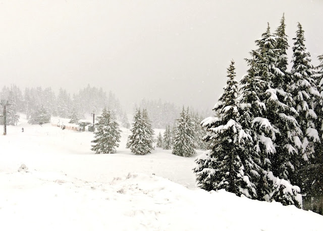 A trip to the Timberline Lodge via @melissakaylene