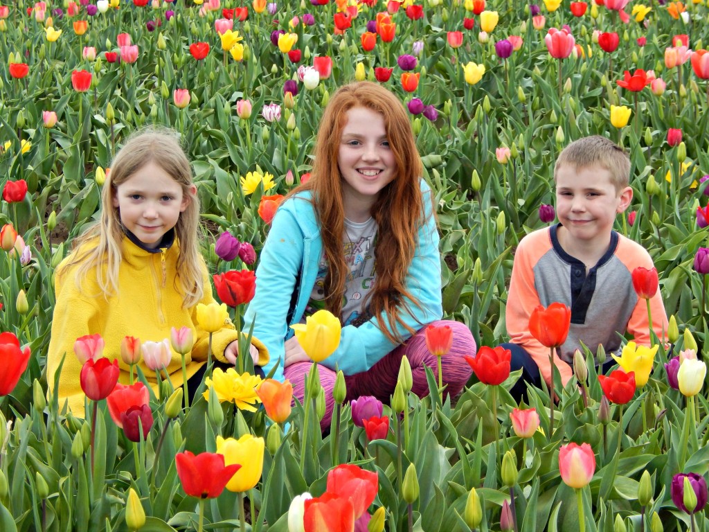 Woodburn-tulip-festival-38