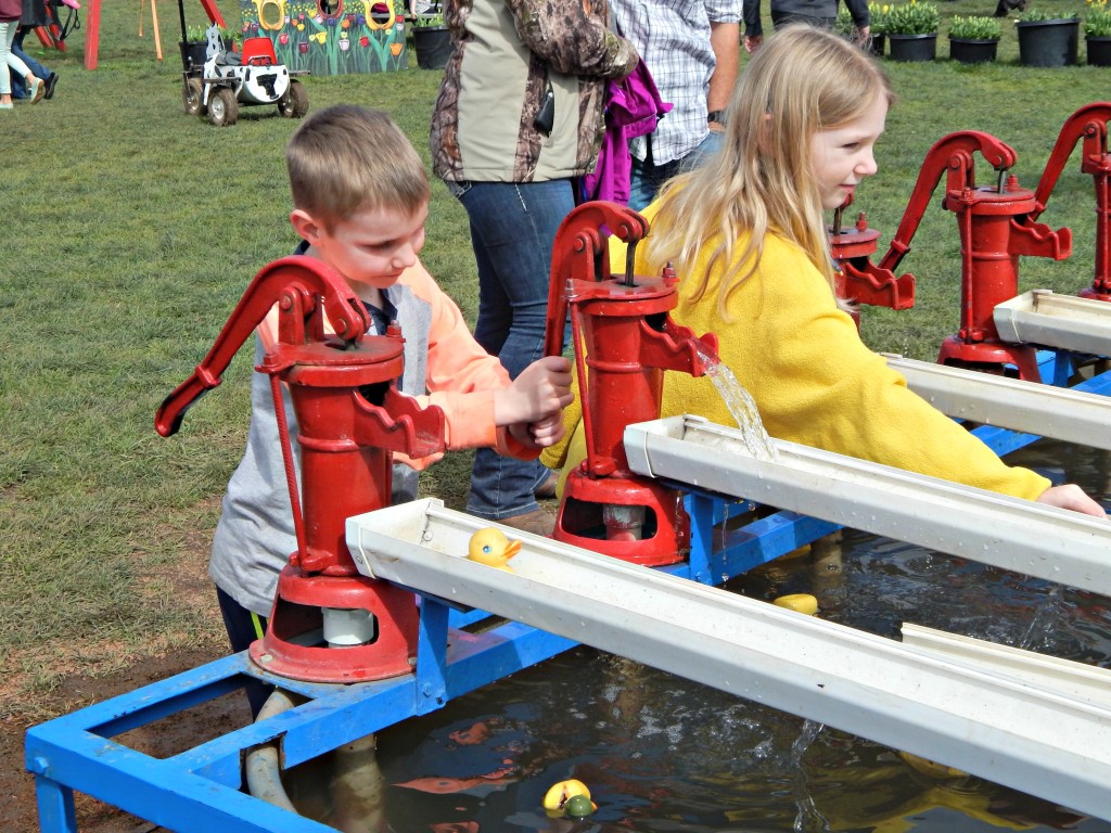 woodburn-tulip-festival-14