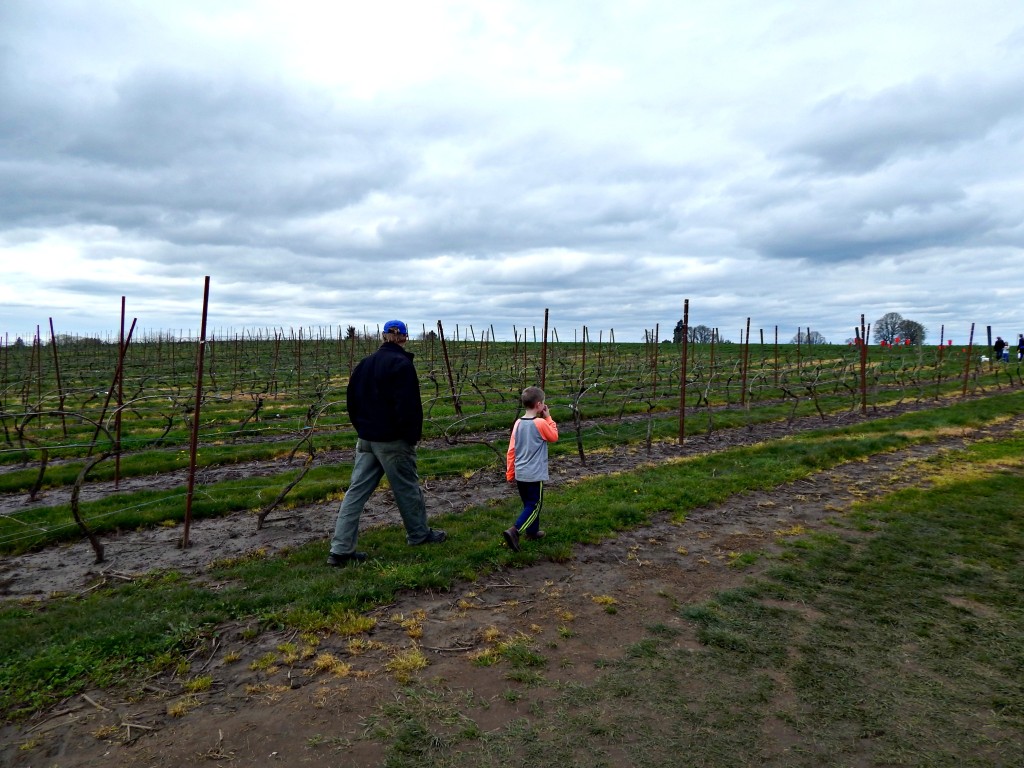 woodburn-tulip-festival-15