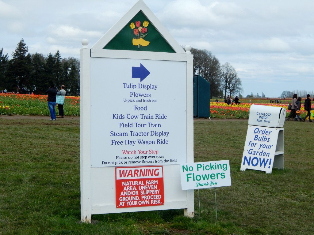 woodburn-tulip-festival-16