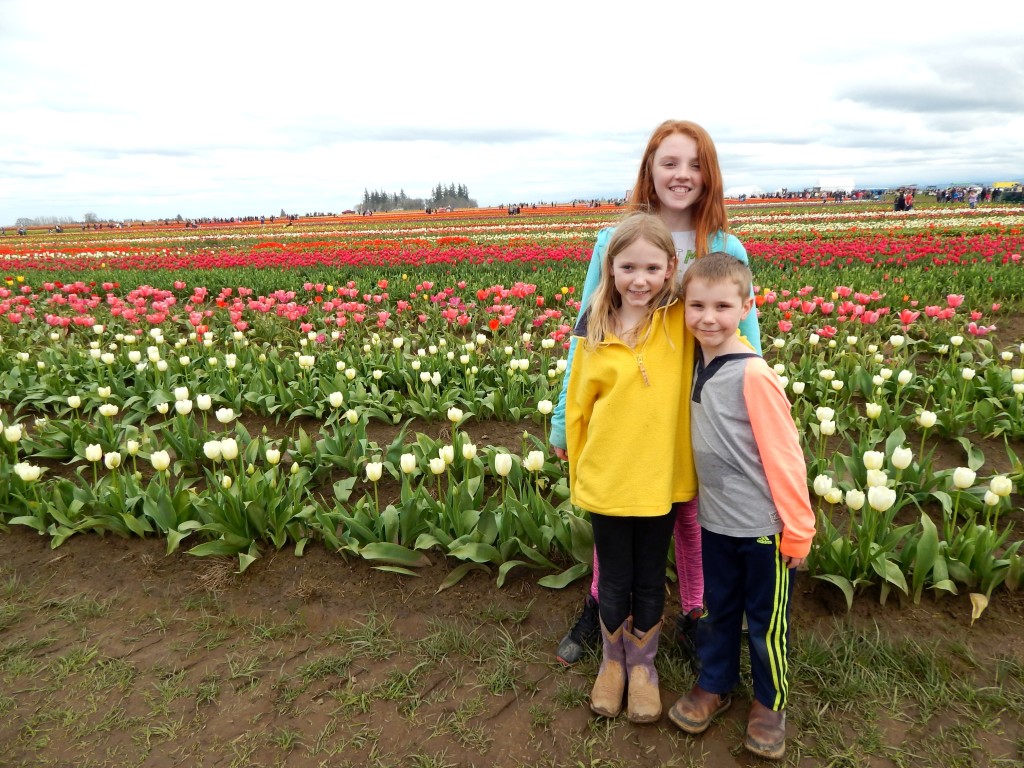 woodburn-tulip-festival-20