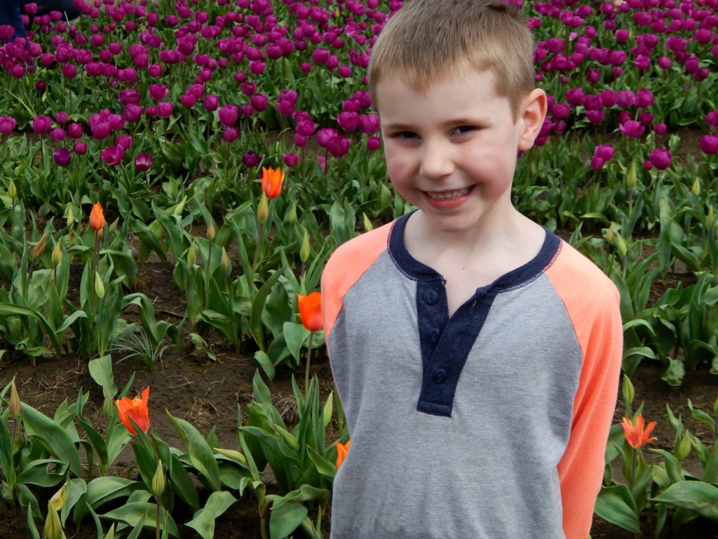 woodburn-tulip-festival-24