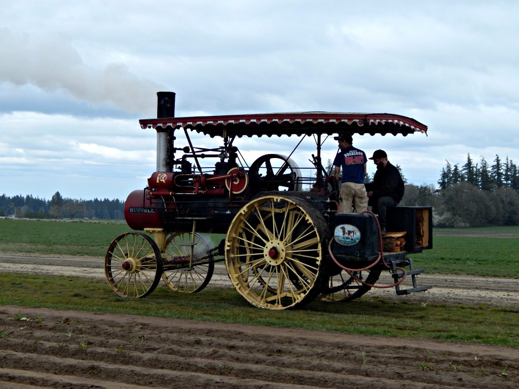 woodburn-tulip-festival-36