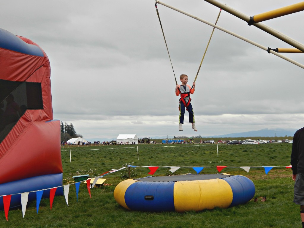 woodburn-tulip-festival-45