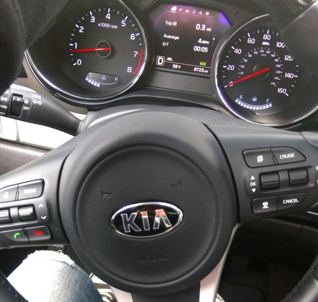 kia-sedona-18