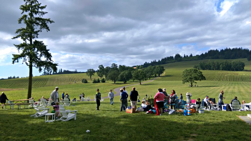 picnic-at-stoller-7