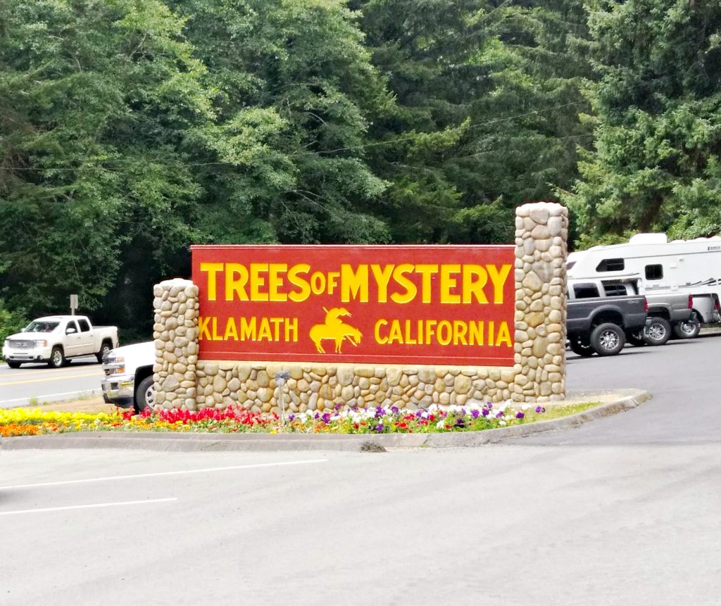 Trees of Mystery