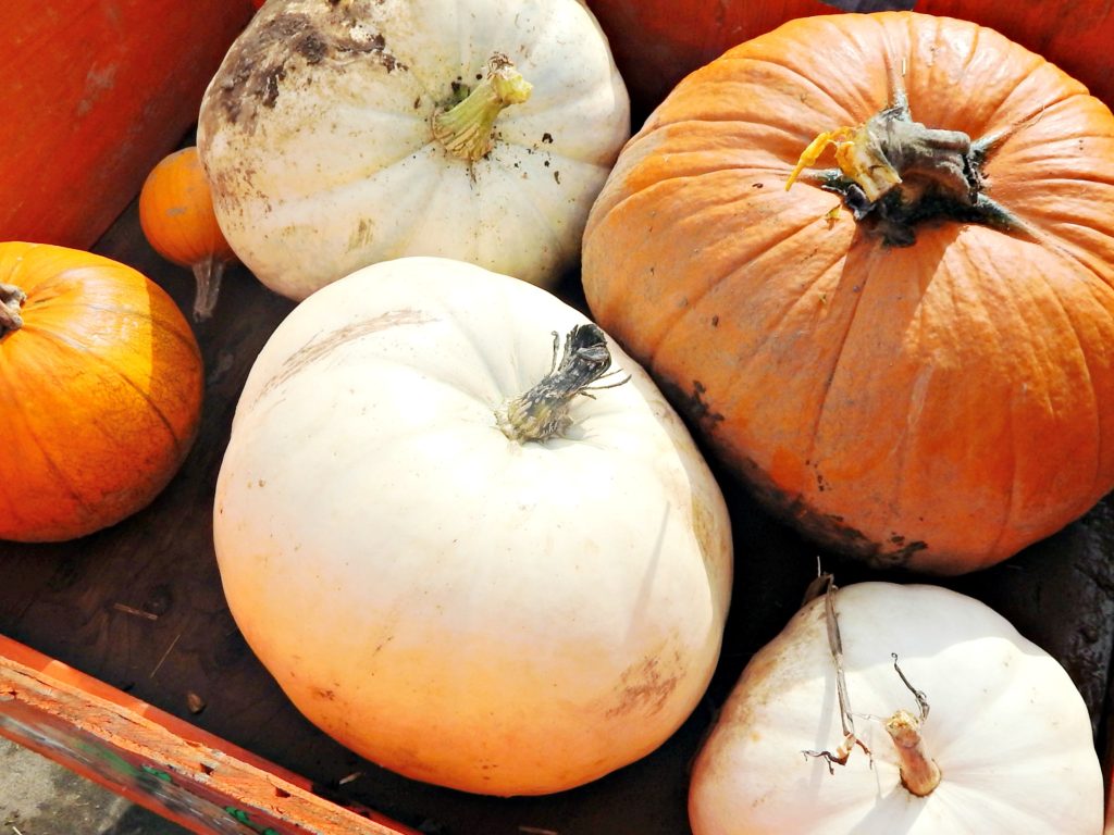 October