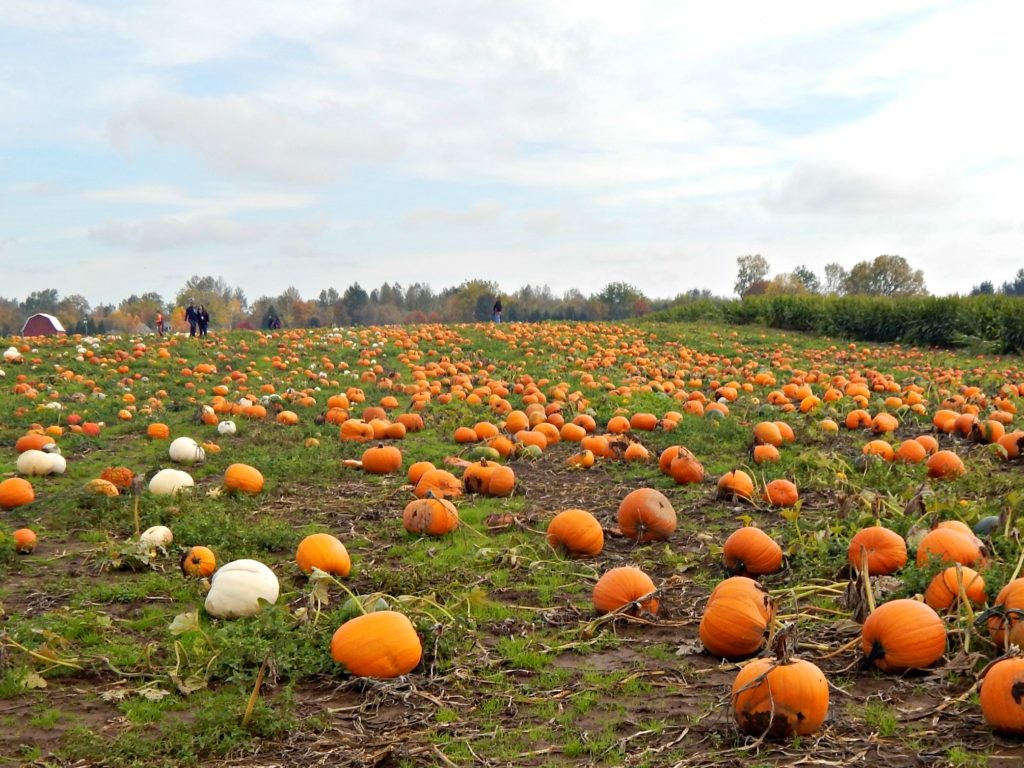 october 